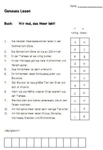 Quiz Hör mal das Meer lebt