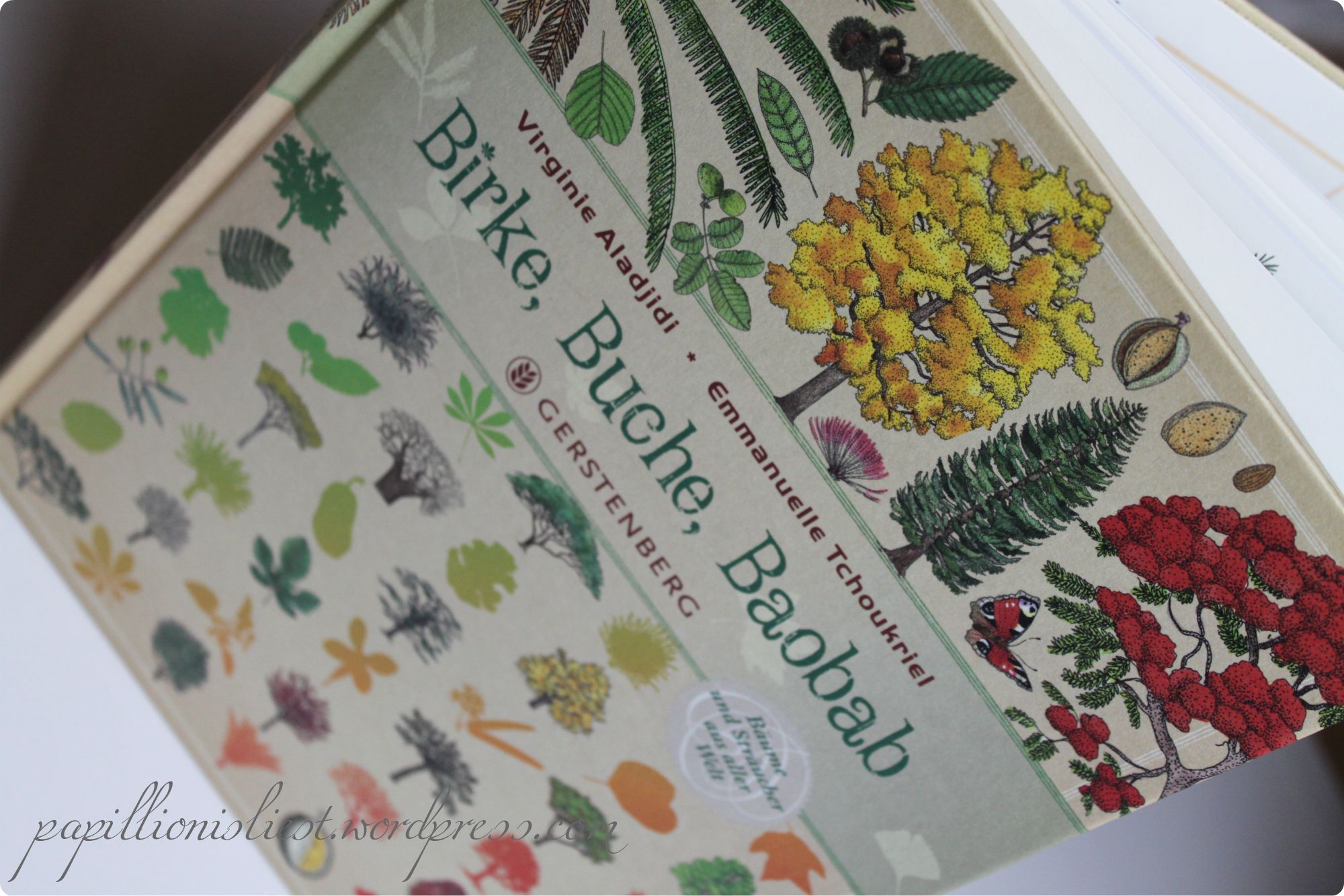 Birke, Buche, Baobab