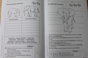 Tiere in aller Welt 1./2. Klasse