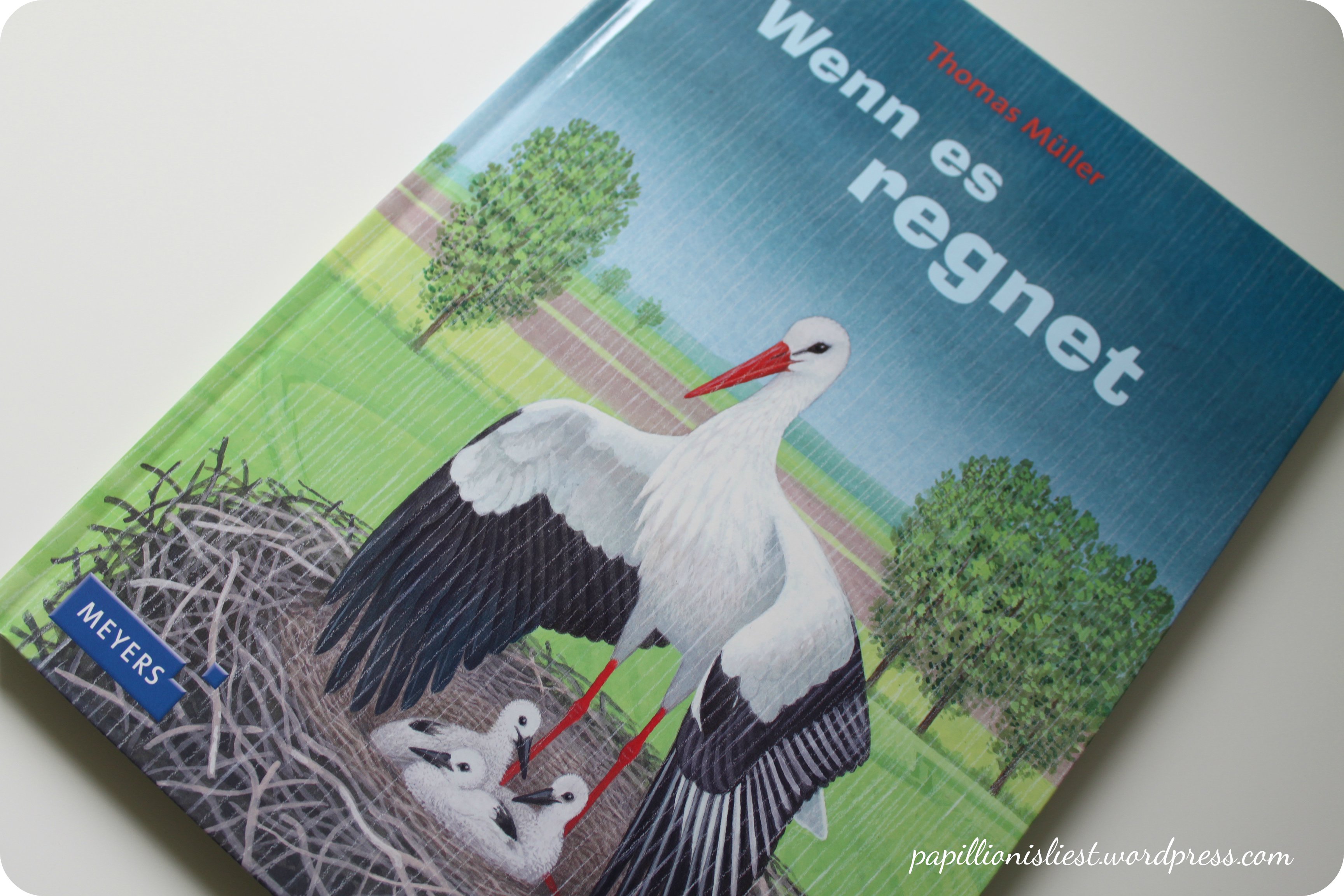 Wenn es regnet - Thomas Müller