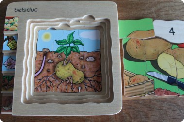 Unterrichtsmaterial Kartoffel