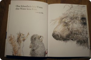 Herr Eichhorn und der erste Schnee