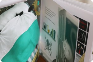 Kater Kamillo kommt in die Schule