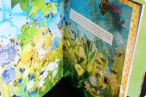 Schau, was krabbelt und fliegt in Wald und Wiese? Bajerowicz