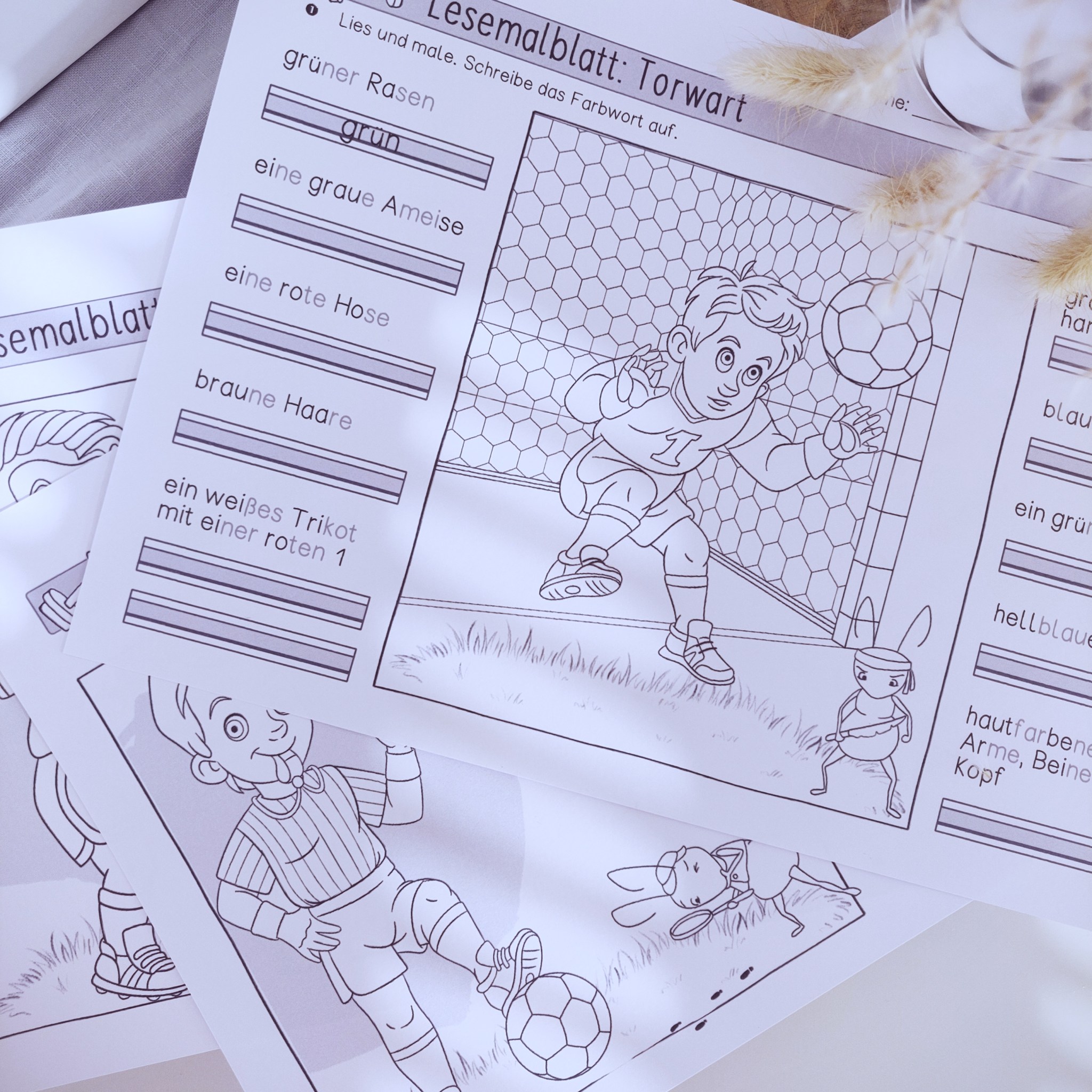 Lesemalblätter „Fußball“ – Grundschule Leseaufgaben – Papillionis liest