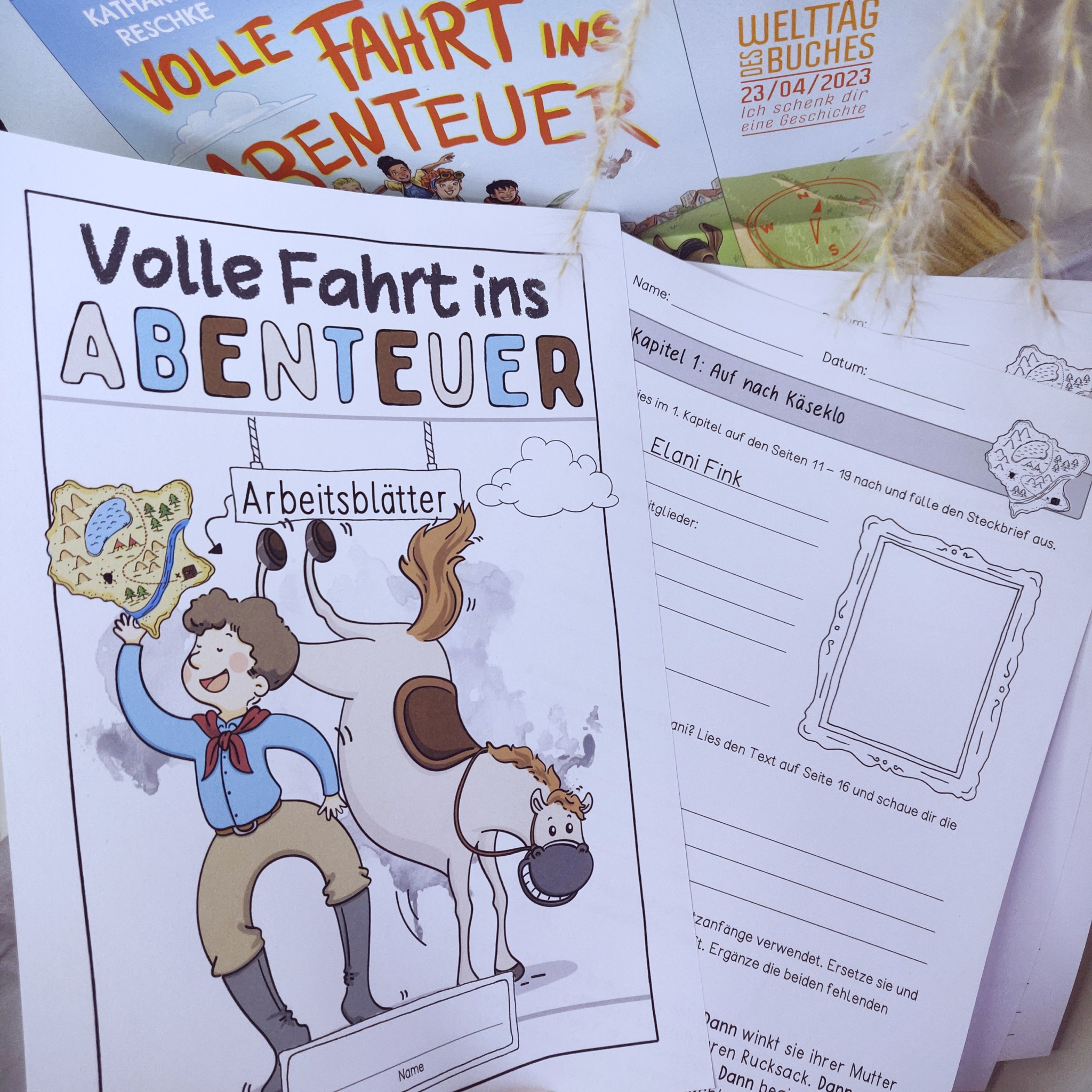 „Volle Fahrt ins Abenteuer“ – Unterrichtsmaterial – Papillionis liest